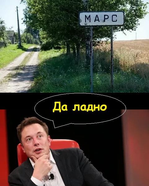 Мем, Лис Интересный Мем, Лис Интересный