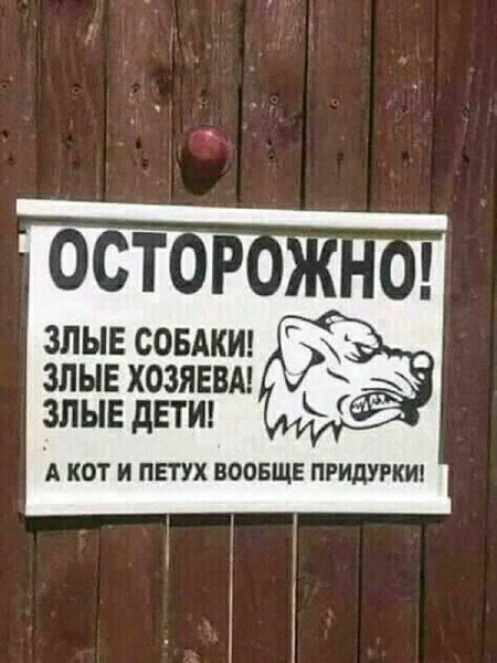Мем: Злые собаки злые хозяева, RusLan2025 Мем: Злые собаки злые хозяева, RusLan2025
