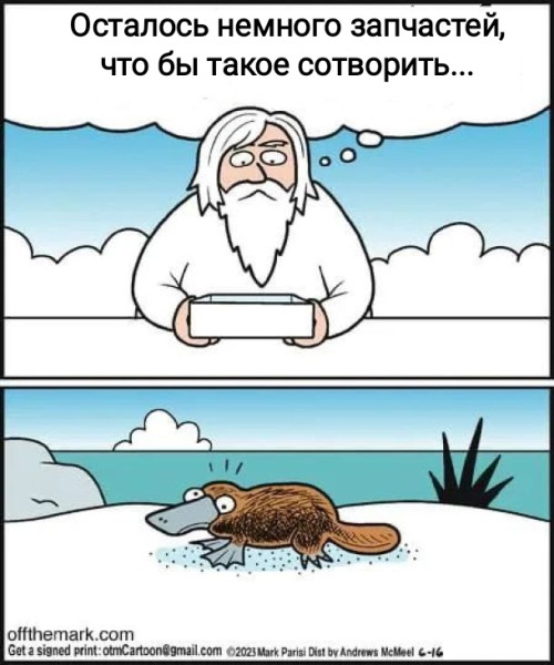 Мем, Рысь Мем, Рысь