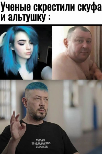 Мем, FDio Мем, FDio