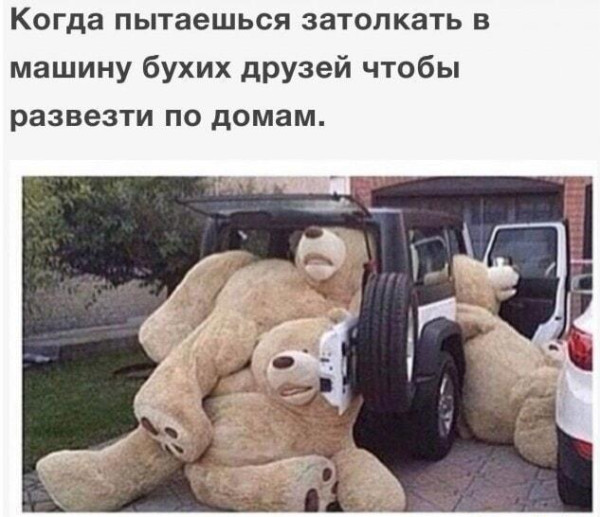 Мем, Антиклептократ Мем, Антиклептократ