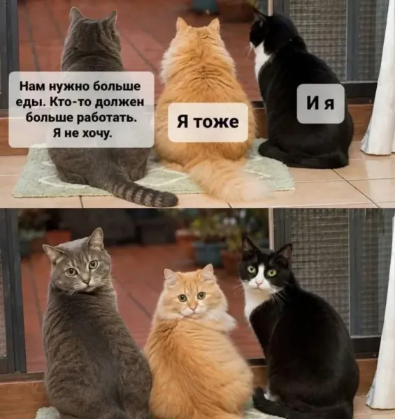 Мем: Остаёшься ты, Наташ!, Антиклептократ Мем: Остаёшься ты, Наташ!, Антиклептократ