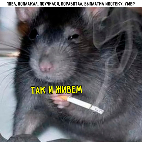Мем, Леонид Хлыновский Мем, Леонид Хлыновский