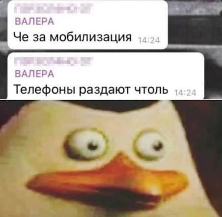 Мем, Bassplayer
