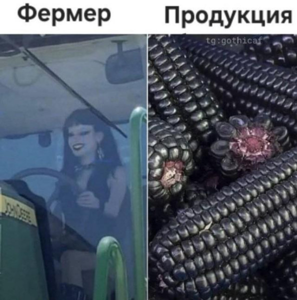 Мем, Антиклептократ