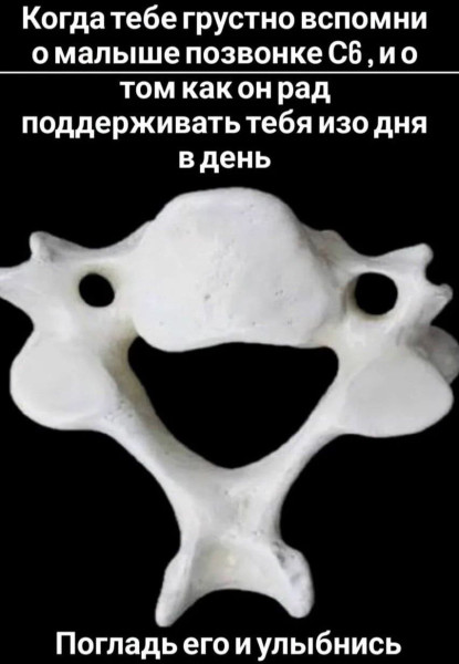 Мем, Ashmedai