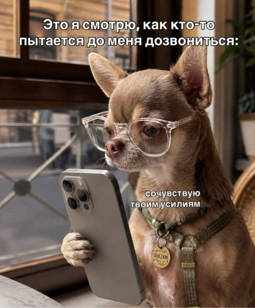 Мем, Bassplayer