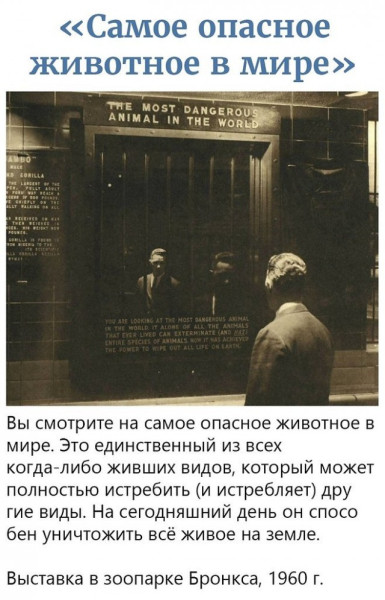 Мем Мем