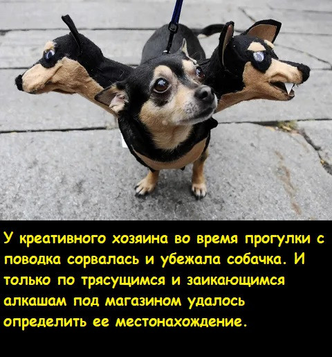 Мем, Лис Интересный Мем, Лис Интересный