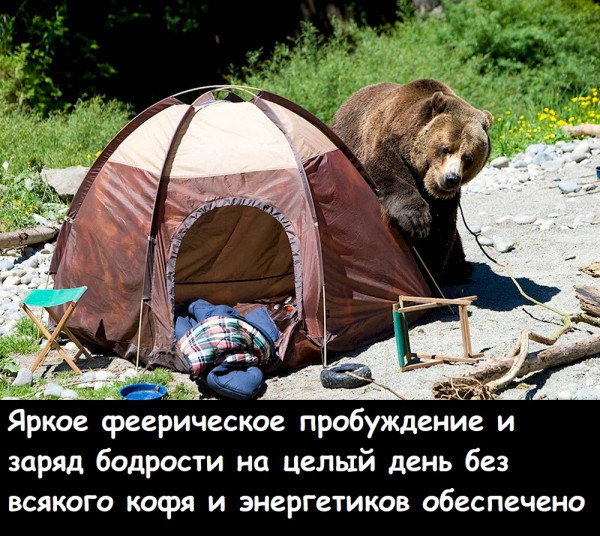 Мем, Лис Интересный Мем, Лис Интересный