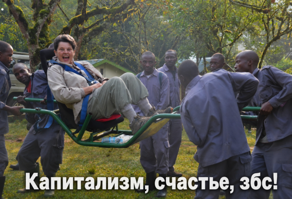 Мем, FDio