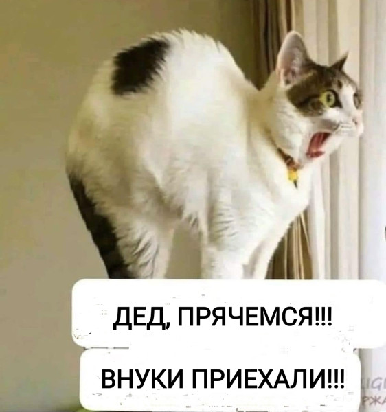 Мем, Рысь Мем, Рысь