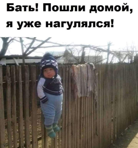 Мем, Антиклептократ Мем, Антиклептократ