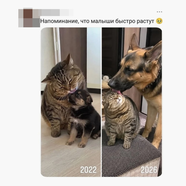 Мем, Леонид Хлыновский Мем, Леонид Хлыновский
