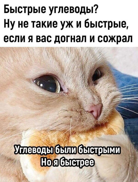 Мем, Антиклептократ