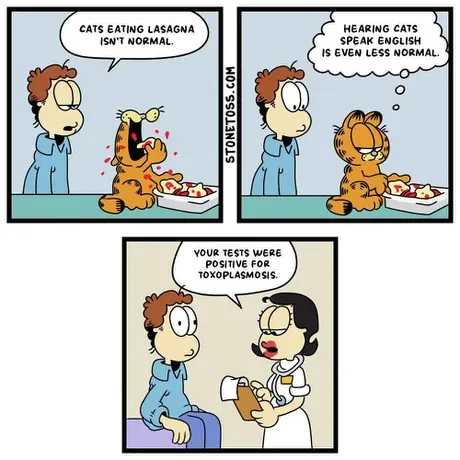 Мем: Гарфилд Мем: Гарфилд