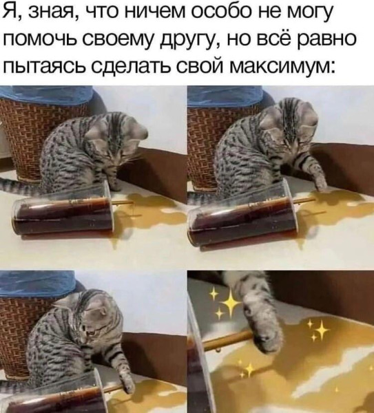 Мем, Антиклептократ Мем, Антиклептократ