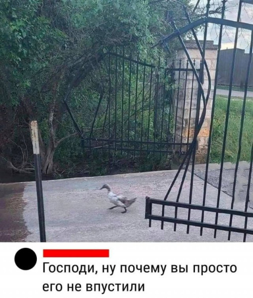 Мем, Леонид Хлыновский Мем, Леонид Хлыновский