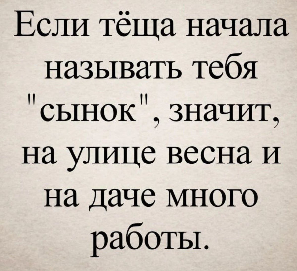 Мем, Ashmedai Мем, Ashmedai