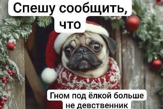 Мем, Ashmedai Мем, Ashmedai
