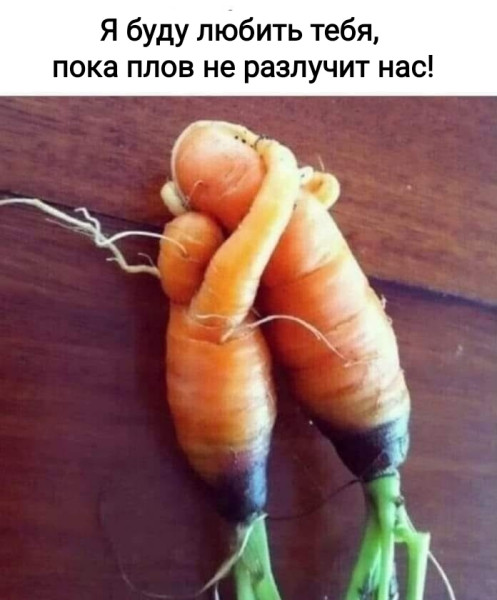 Мем, Рысь