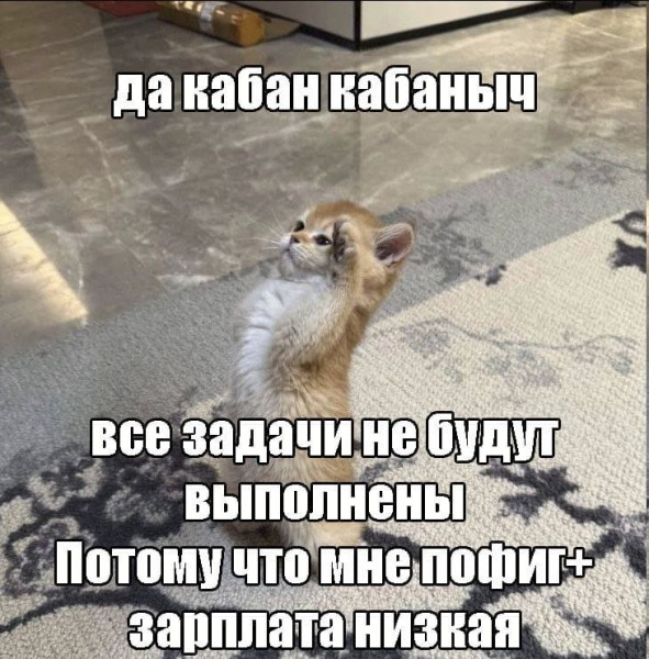 Мем, Diogenes Мем, Diogenes