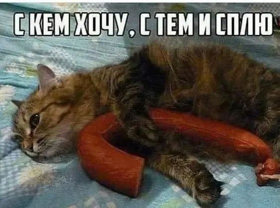 Мем Мем