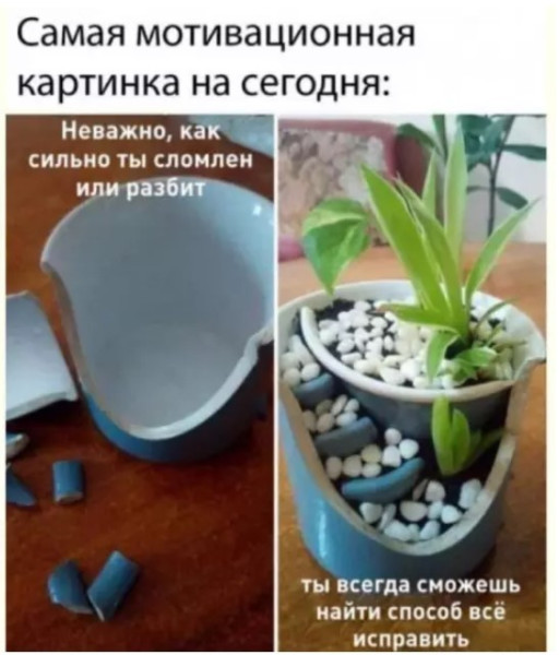 Мем Мем