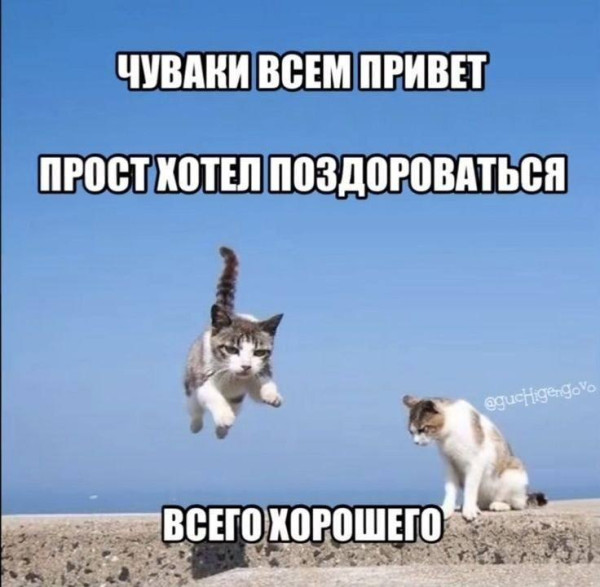 Мем, ArsenZahar5 Мем, ArsenZahar5