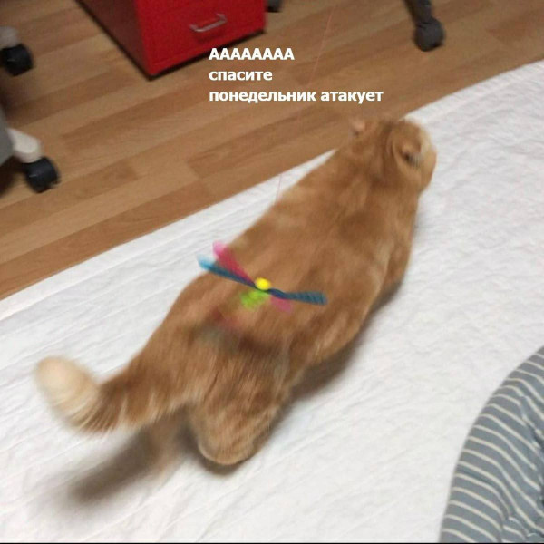 Мем, ArsenZahar5 Мем, ArsenZahar5