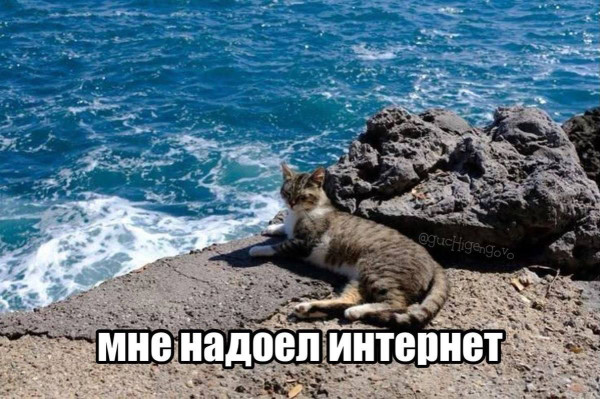 Мем, Леонид Хлыновский
