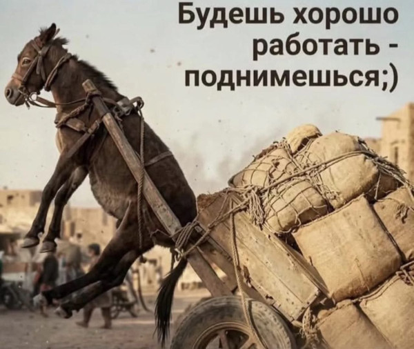 Мем, Kedr72