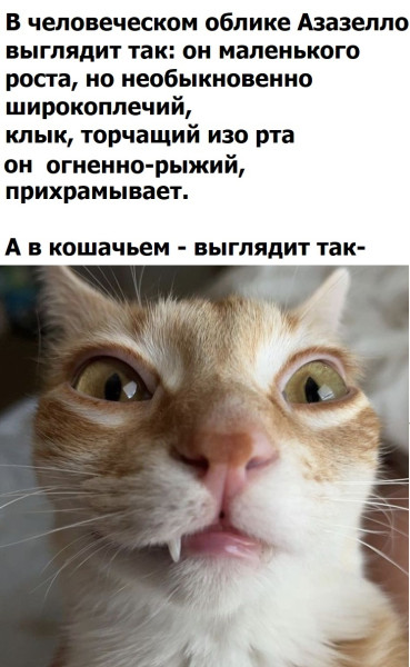 Мем, Mghost