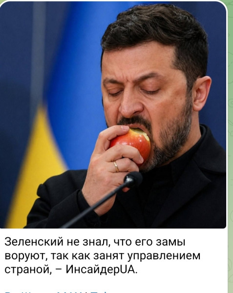 Мем: Эти глаза не могут врать!, Максим Камерер