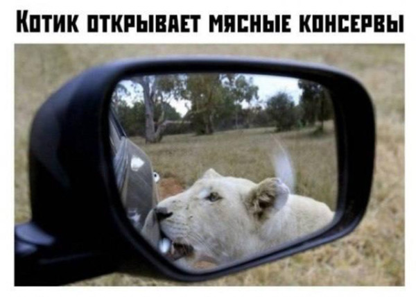 Мем, Mghost