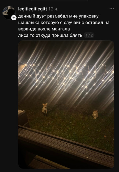 Мем, Mghost