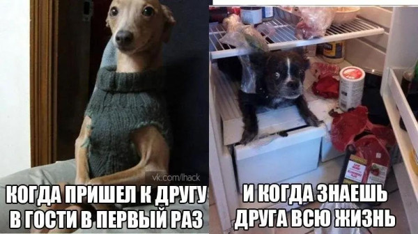 Мем: пришёл, Антиклептократ