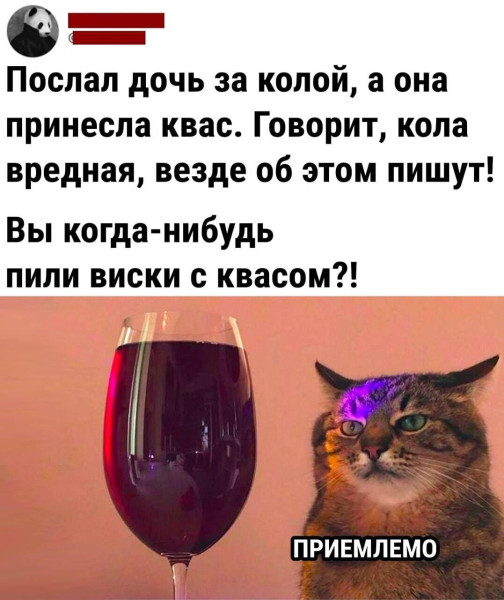 Мем, Антиклептократ Мем, Антиклептократ