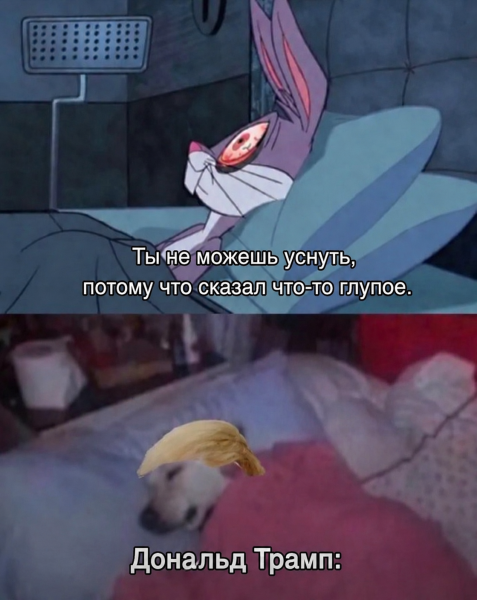 Мем, Diogenes Мем, Diogenes