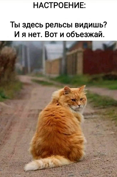 Мем, Рысь Мем, Рысь