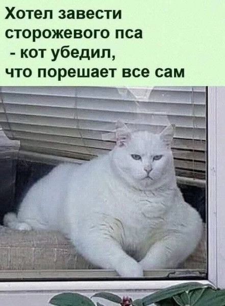 Мем: всё, Антиклептократ Мем: всё, Антиклептократ