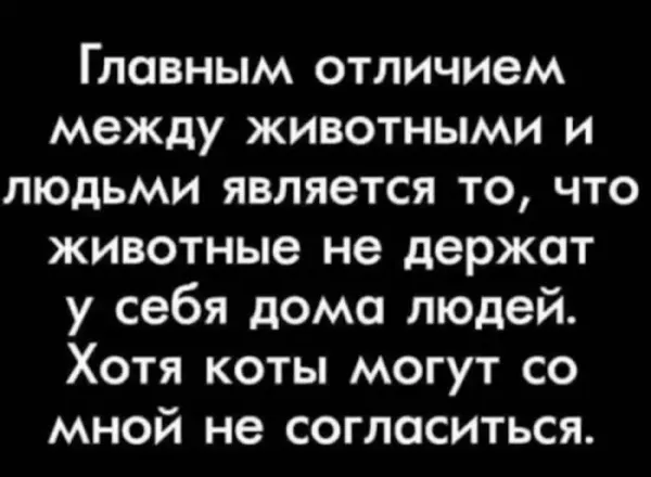 Мем Мем