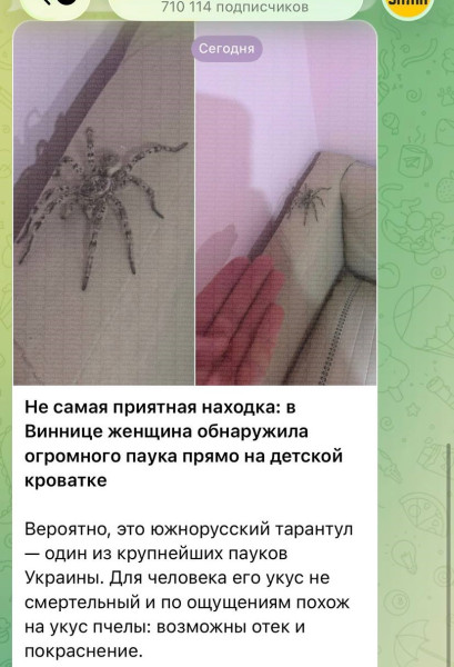 Мем