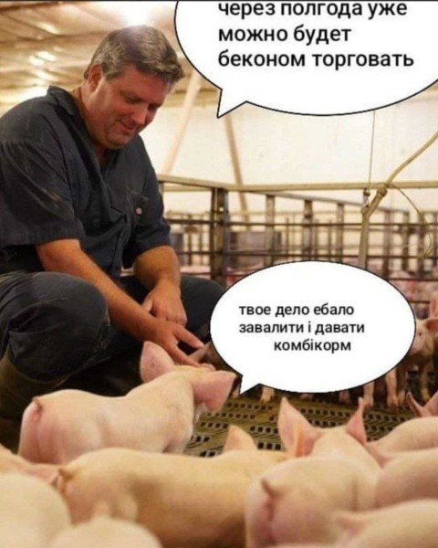Мем