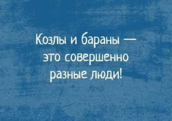 Мем, Ashmedai