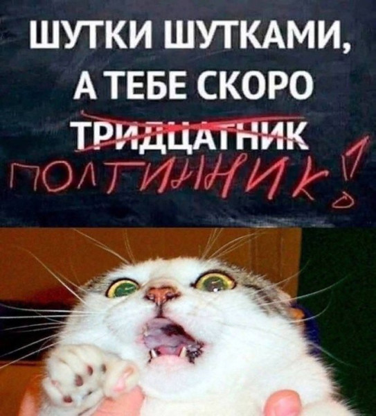 Мем, Антиклептократ