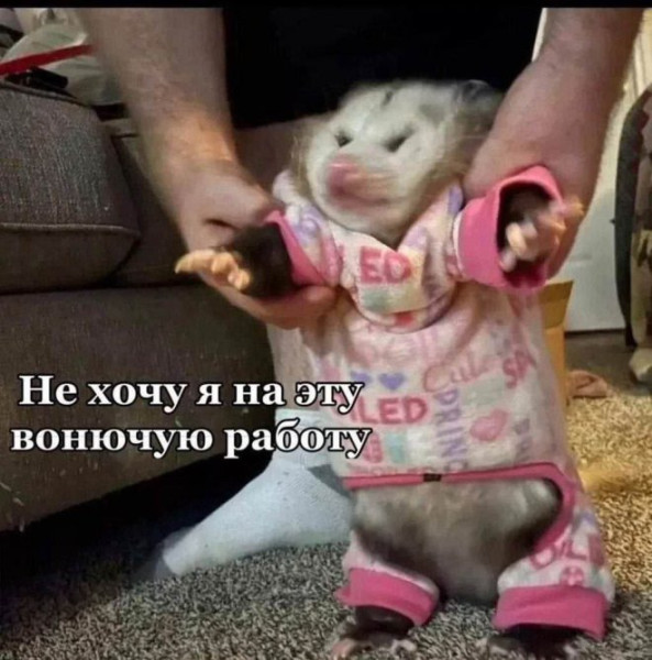Мем, Антиклептократ