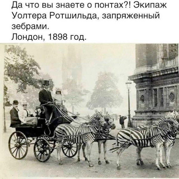 Мем, Антиклептократ