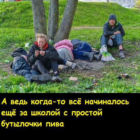 Мем, Лис Интересный Мем, Лис Интересный