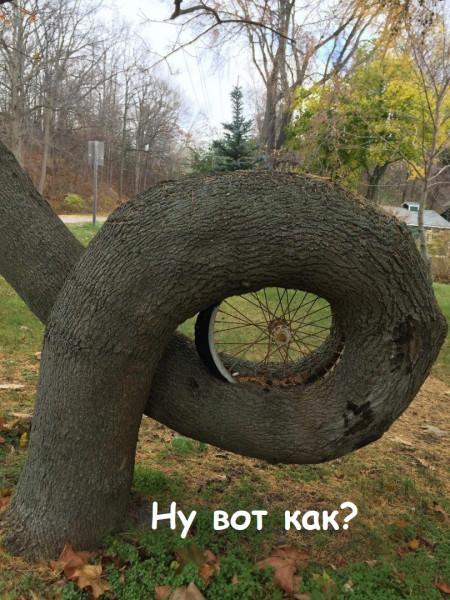 Мем, Лис Интересный Мем, Лис Интересный